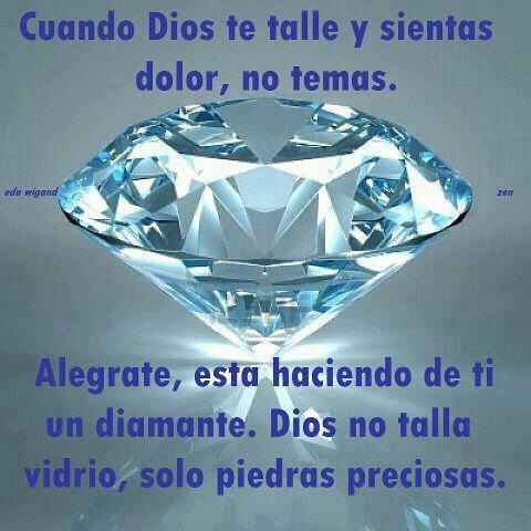 Sin Nombre